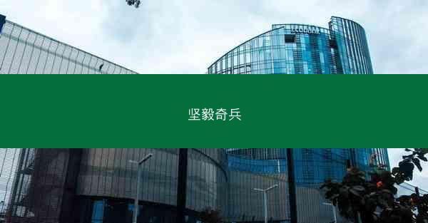 坚毅奇兵