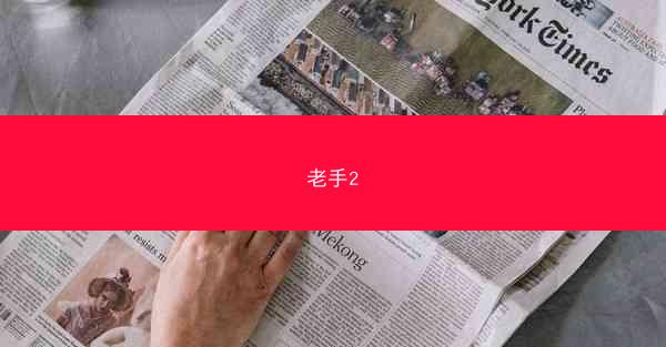 老手2