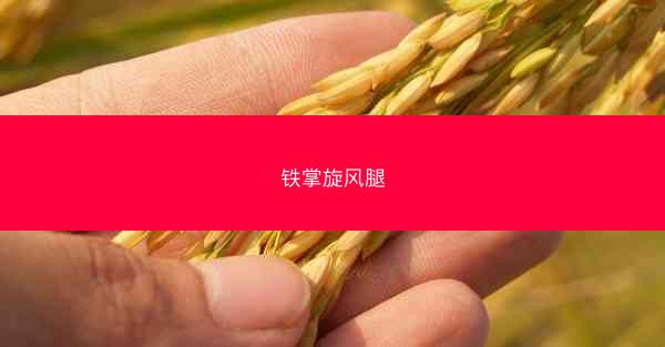 铁掌旋风腿