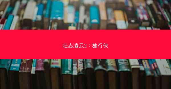 壮志凌云2：独行侠